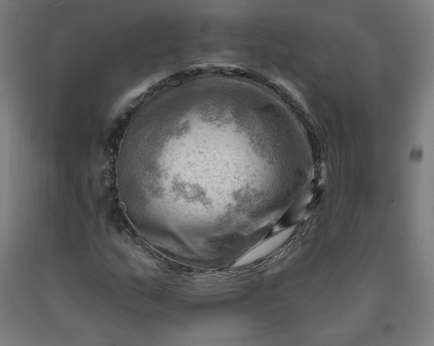 X0000090631159200707311259