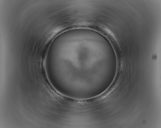 X0000090631161200707311259