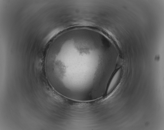 X0000090631163200707311259