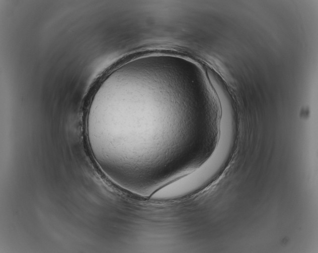 X0000090631164200707311259