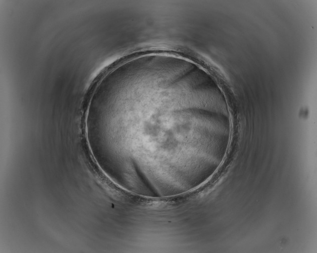 X0000090631166200707311259