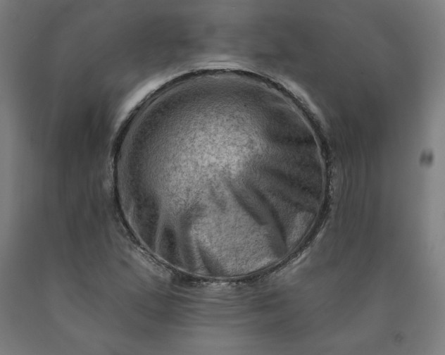 X0000090631167200707311259