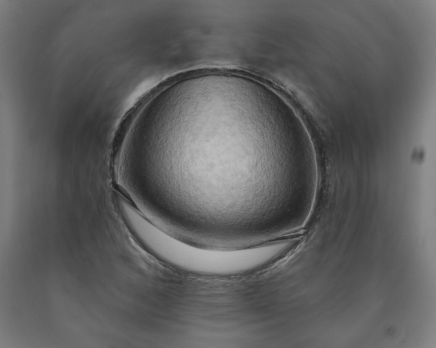 X0000090631168200707311259