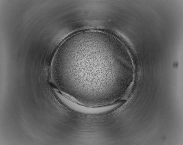 X0000090631169200707311259
