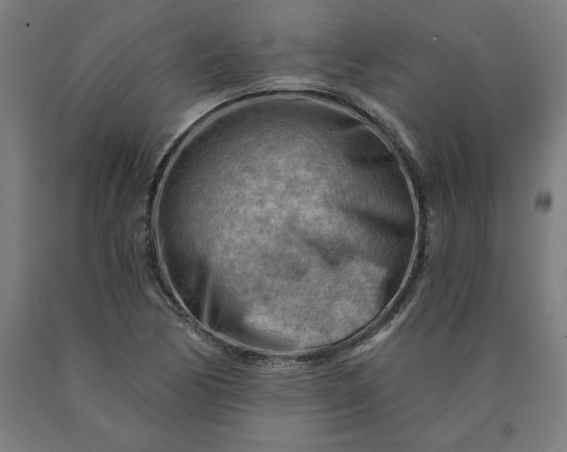 X0000090631170200707311259