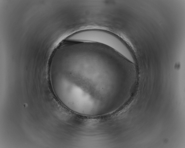 X0000090631173200707311259