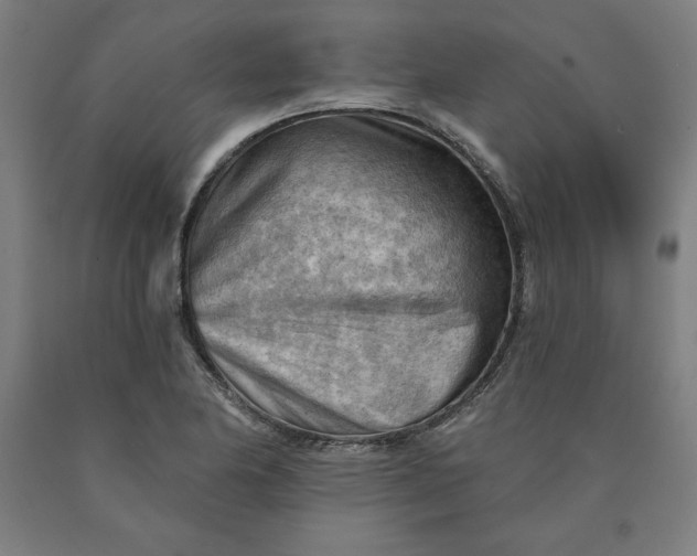 X0000090631174200707311259