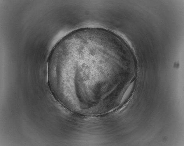 X0000090631175200707311259