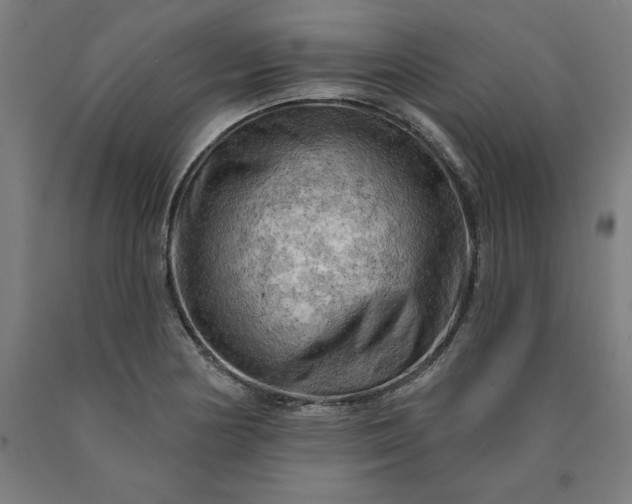 X0000090631178200707311259