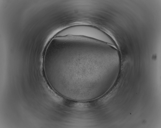 X0000090631179200707311259