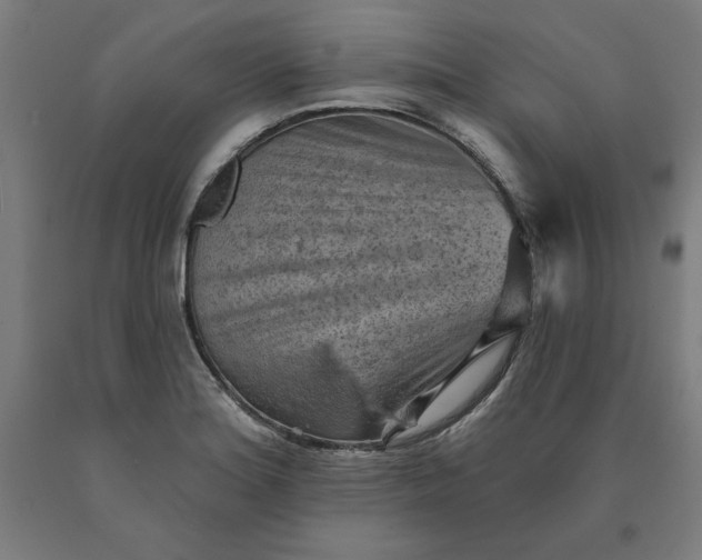 X0000090631180200707311259