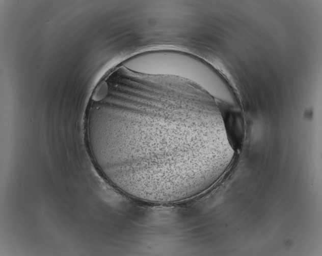X0000090631181200707311259