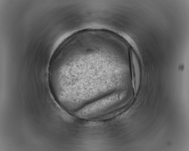 X0000090631183200707311259
