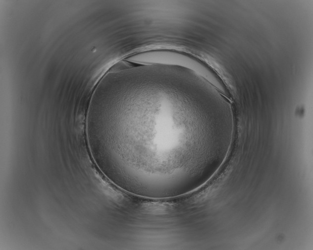 X0000090631185200707311259