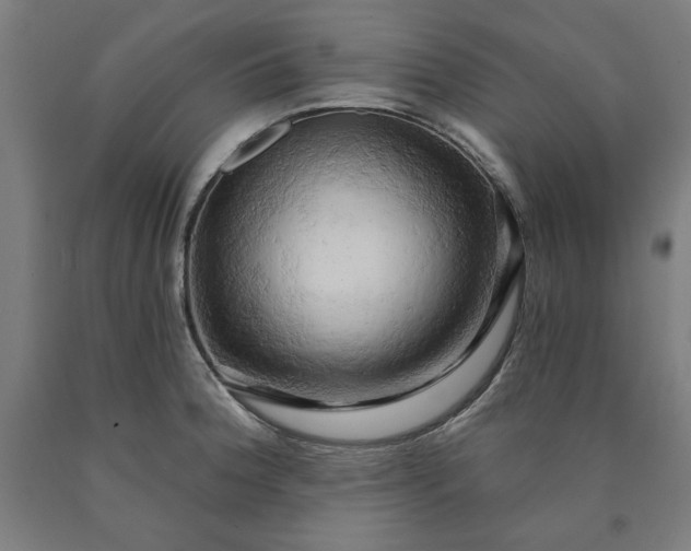 X0000090631188200707311259
