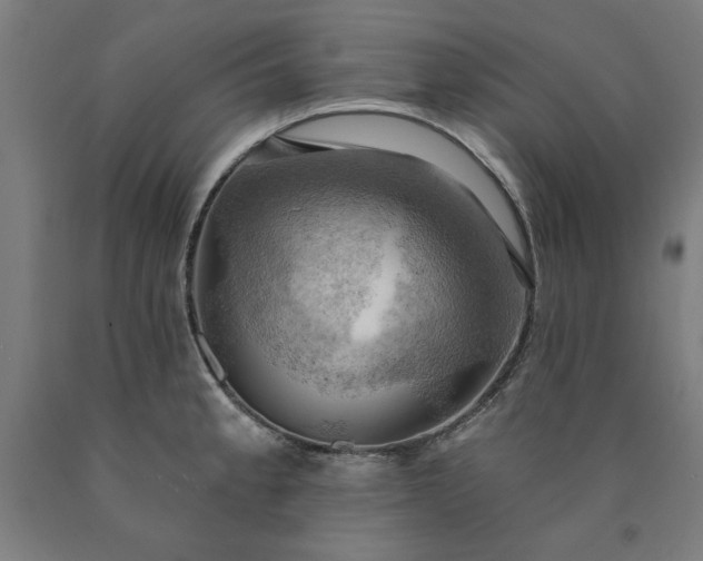 X0000090631189200707311259