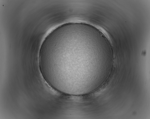 X0000090631191200707311259