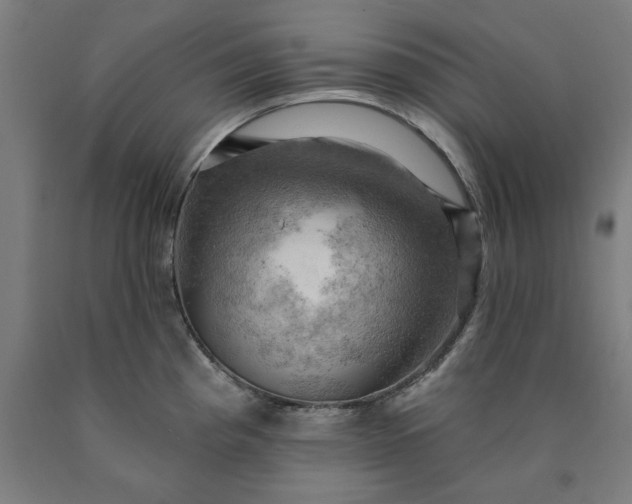 X0000090631193200707311259