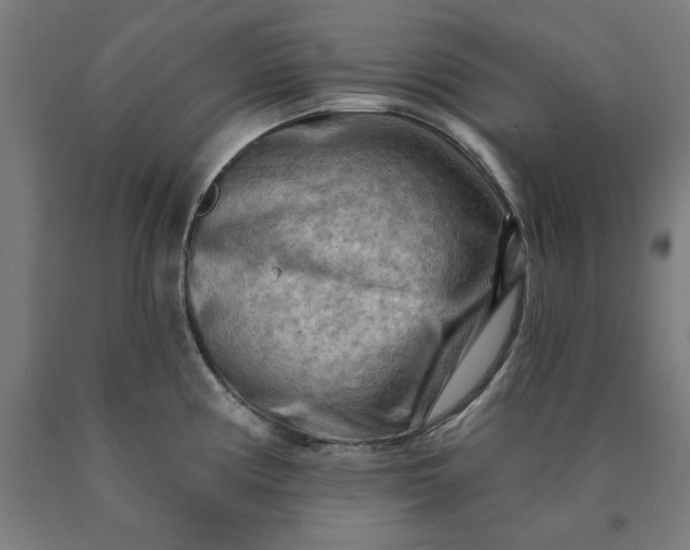 X0000090631194200707311259