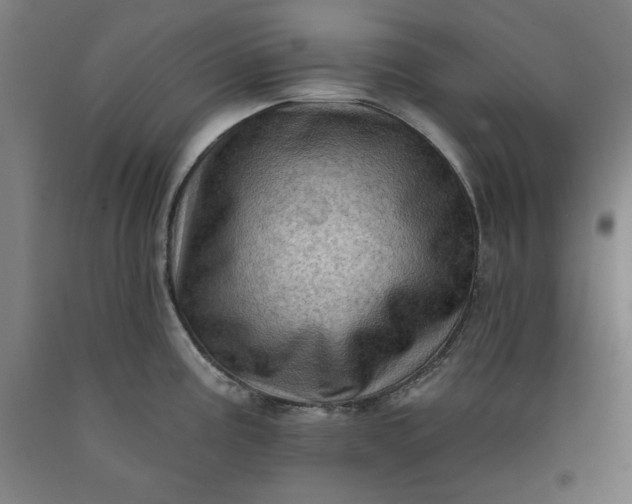 X0000090631195200707311259