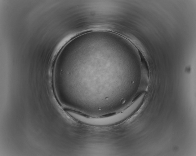 X0000090631196200707311259