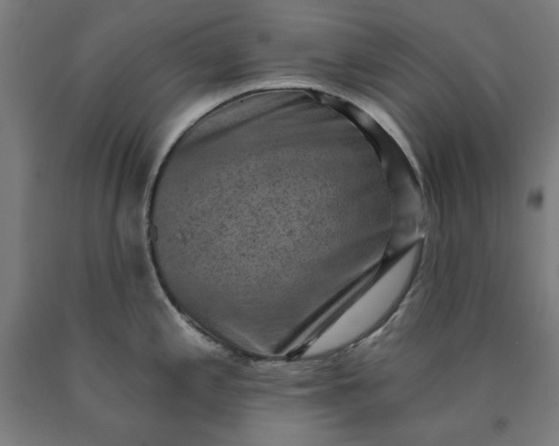 X0000090631197200707311259