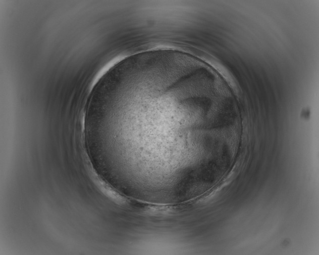 X0000090631198200707311258