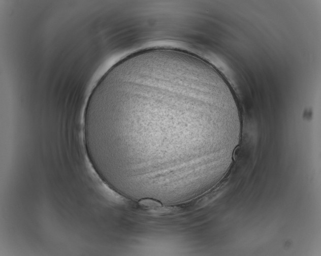 X0000090631199200707311258