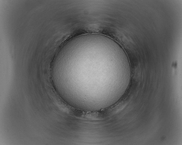 X0000090631201200707311258