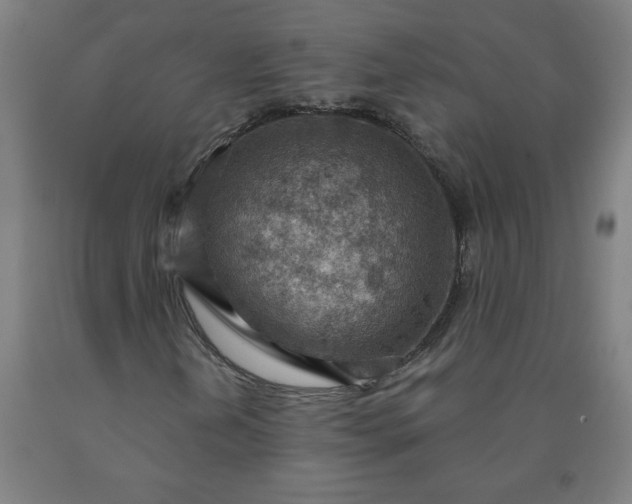 X0000090631202200707311258