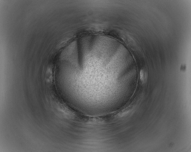X0000090631203200707311258