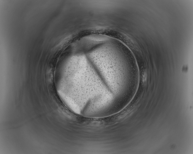 X0000090631204200707311258