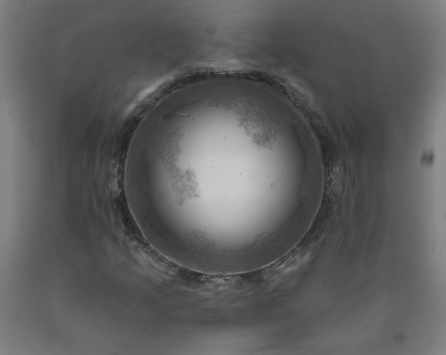 X0000090631205200707311258