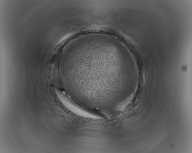 X0000090631206200707311258