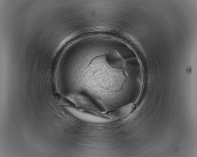 X0000090631210200707311258