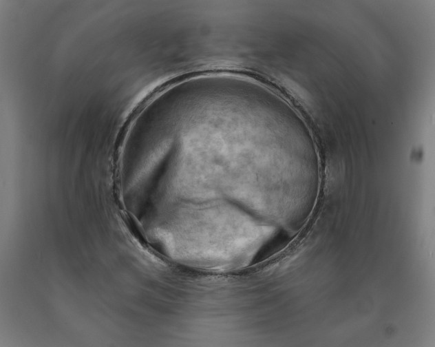 X0000090631212200707311258