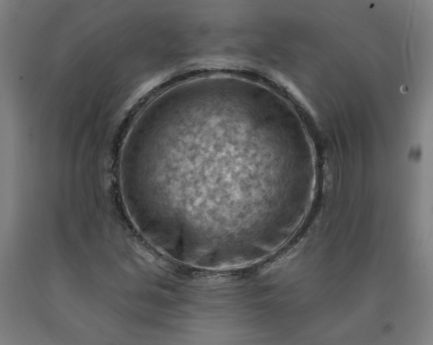 X0000090631213200707311258