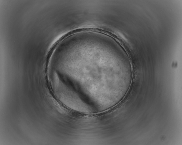 X0000090631216200707311258