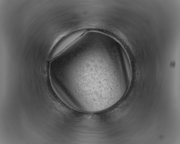 X0000090631218200707311258