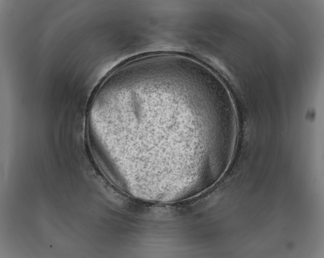 X0000090631220200707311258