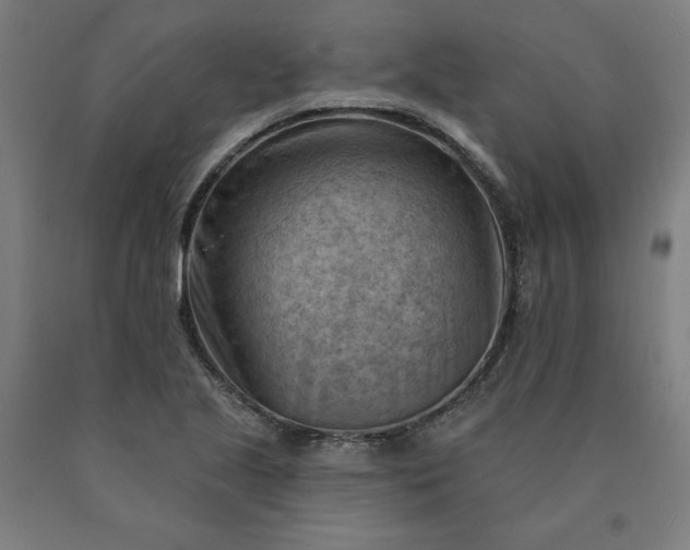 X0000090631221200707311258