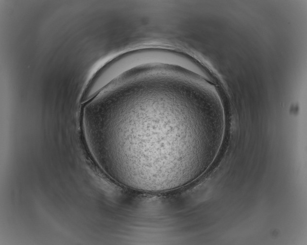 X0000090631222200707311258
