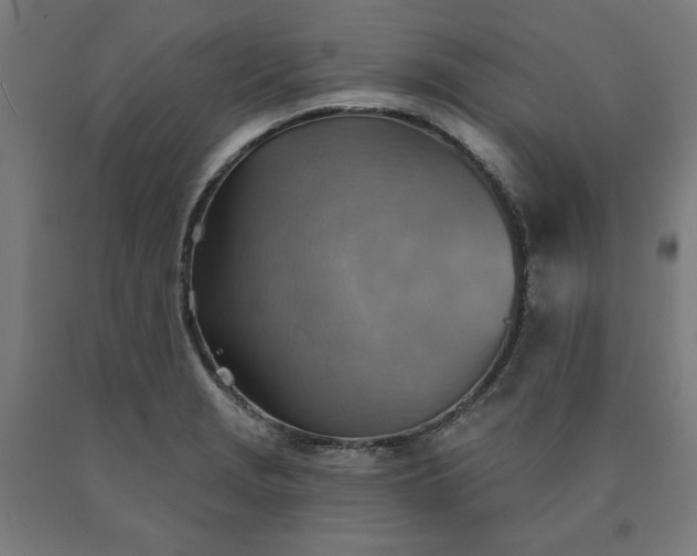 X0000090631229200707311258