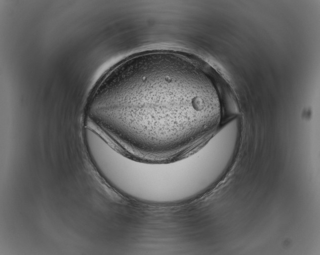 X0000090631230200707311258