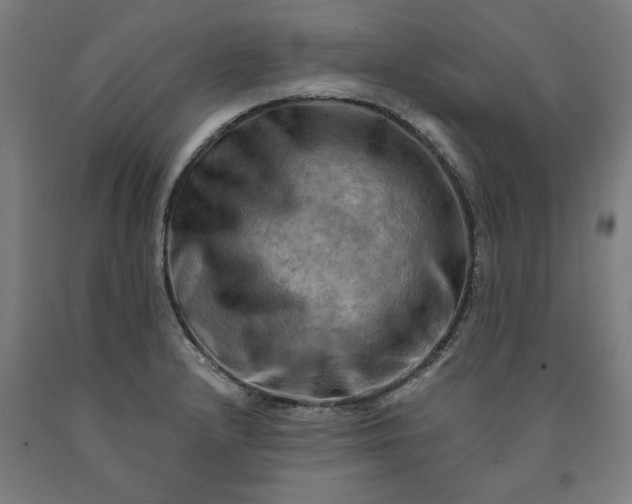 X0000090631232200707311258
