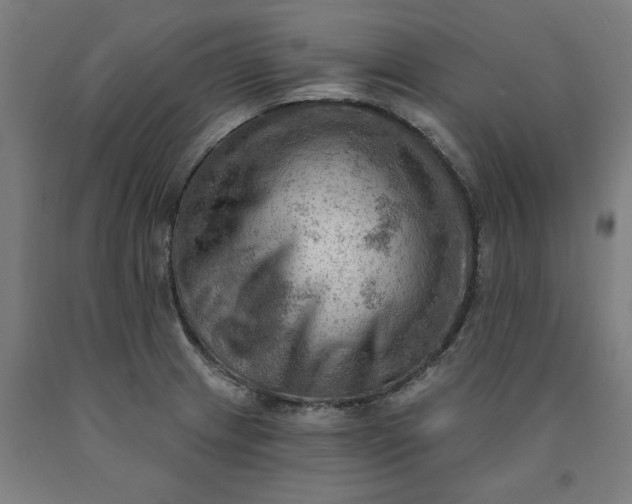 X0000090631233200707311258