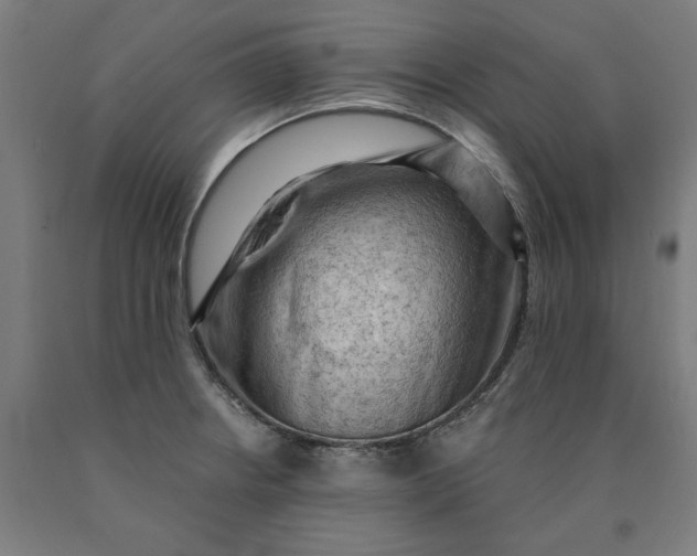 X0000090631234200707311258