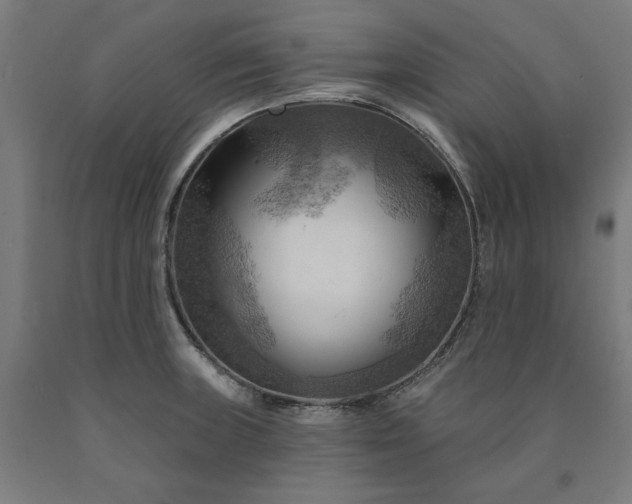 X0000090631235200707311258
