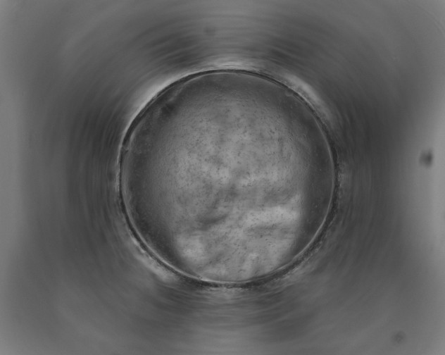 X0000090631236200707311258
