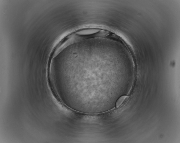 X0000090631237200707311258